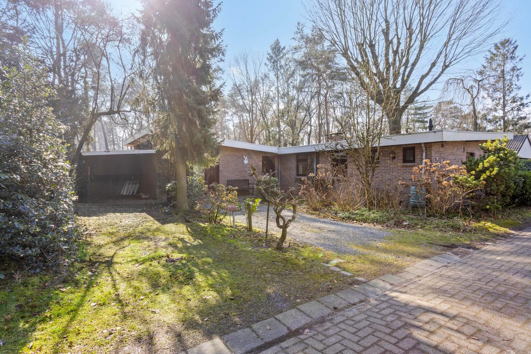 Foto 2 van Schaluinen 11-B438