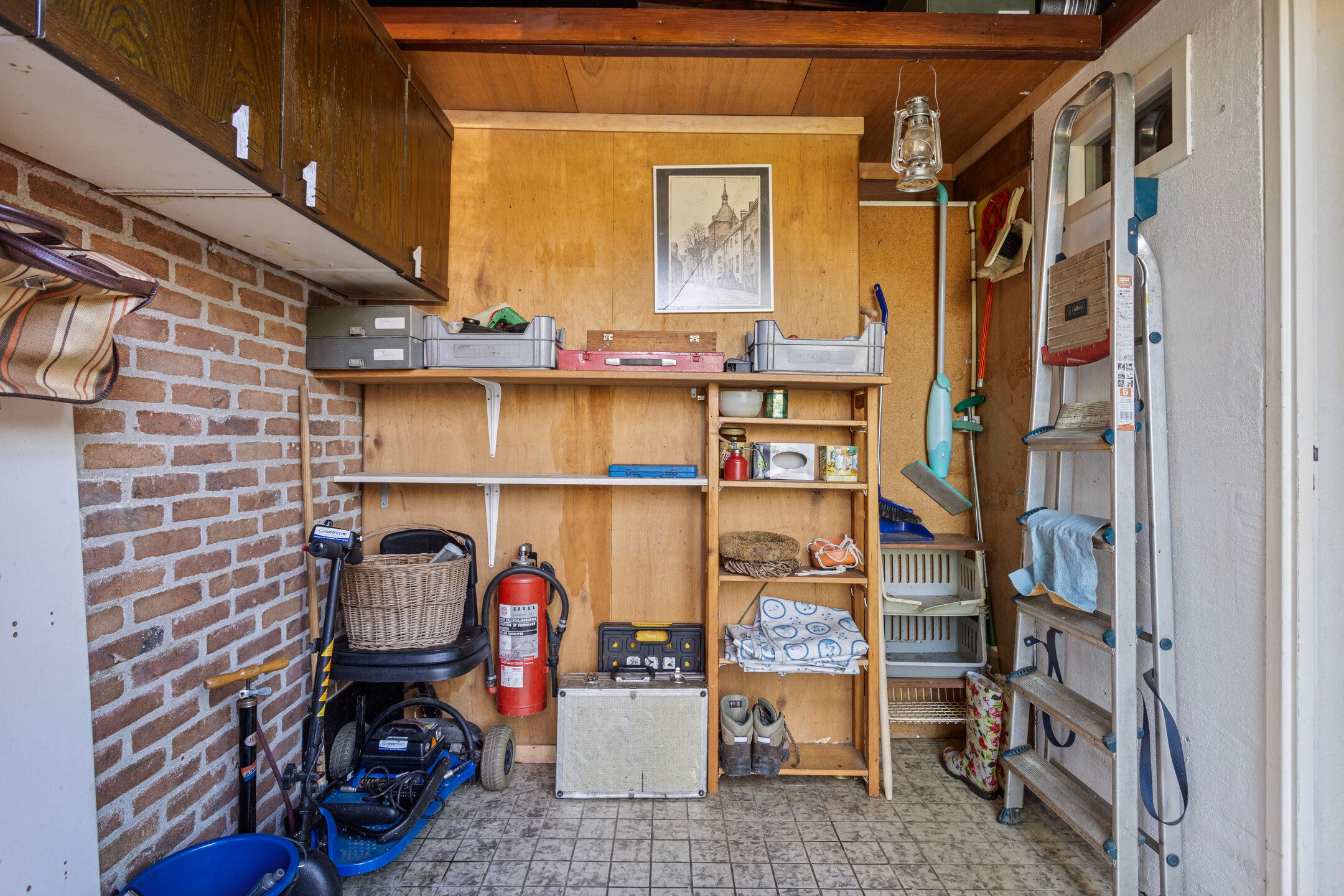 Foto 18 van Schaluinen 11-B438