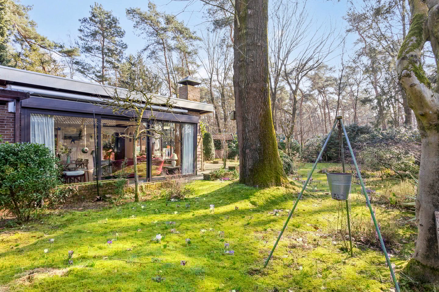 Foto 19 van Schaluinen 11-B438