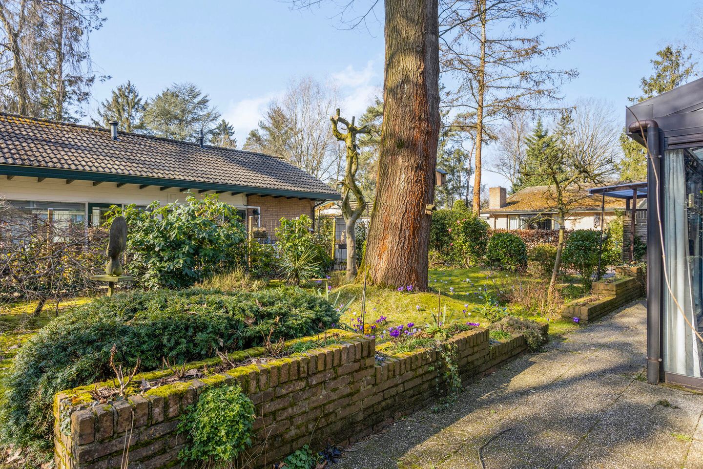 Foto 20 van Schaluinen 11-B438