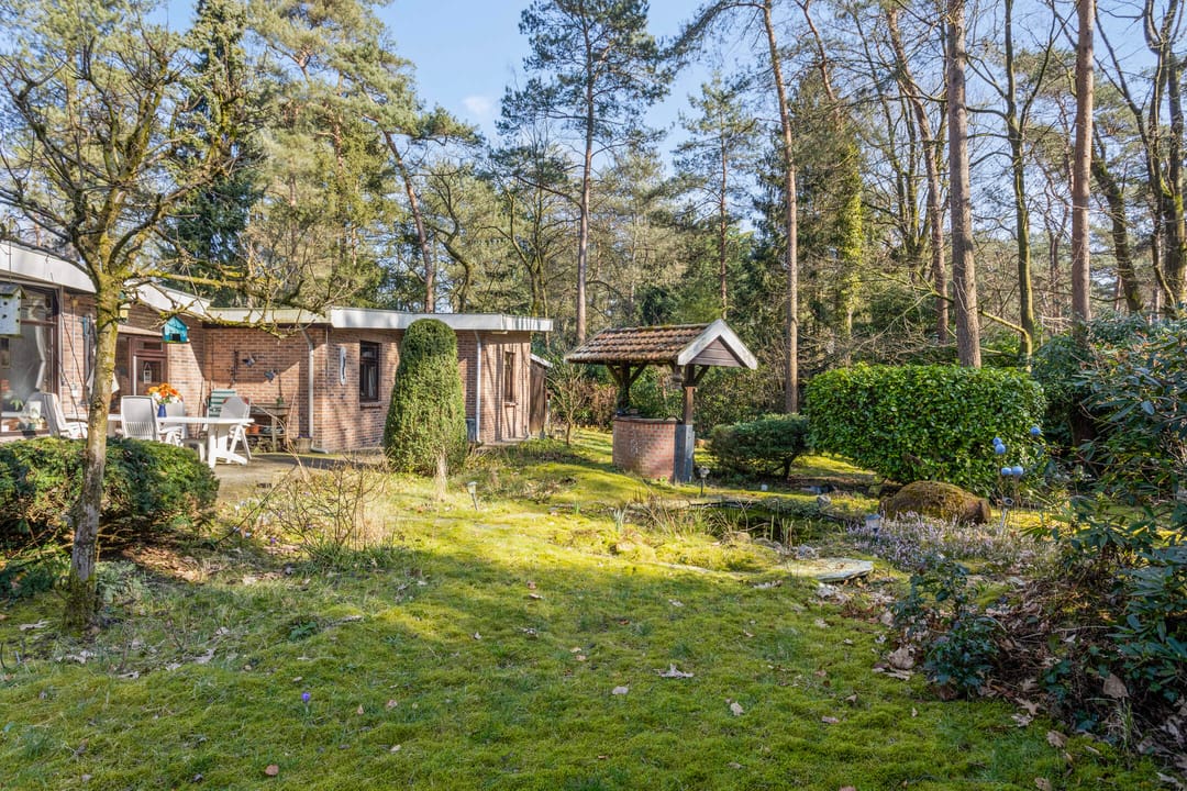 Foto 22 van Schaluinen 11-B438