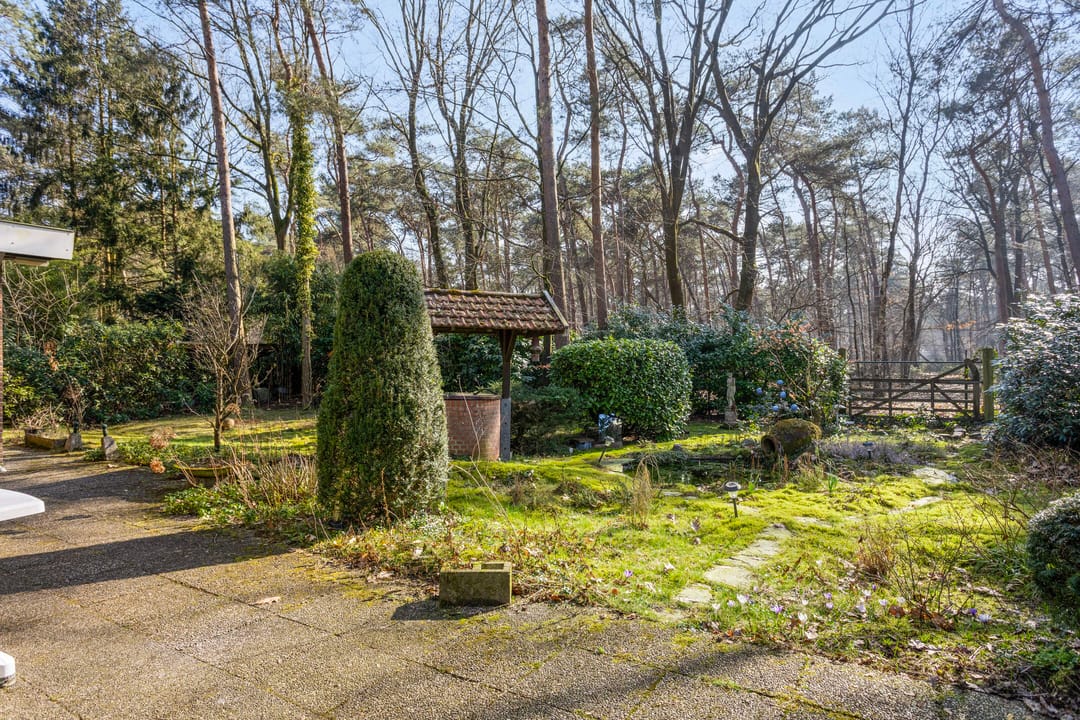 Foto 23 van Schaluinen 11-B438