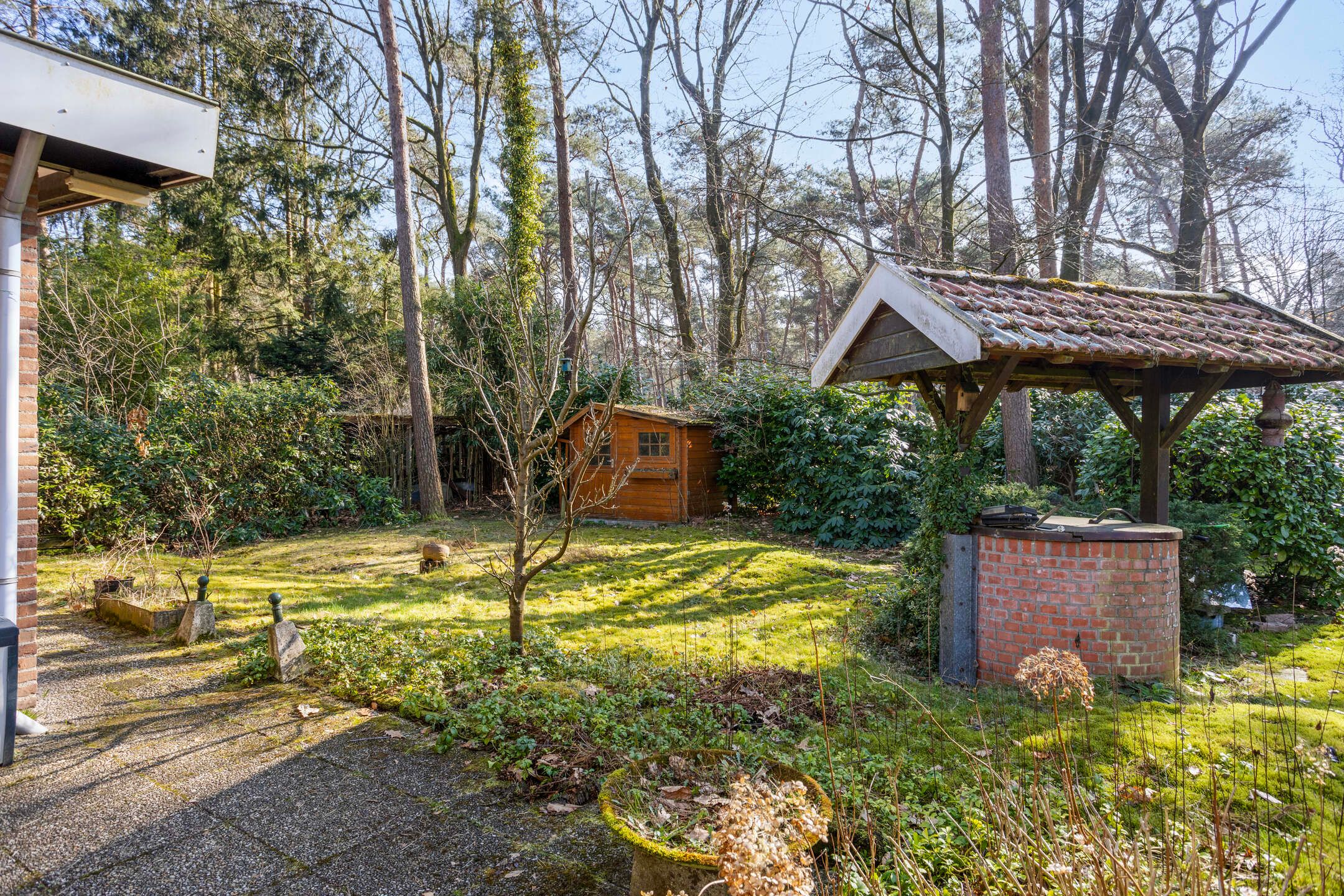 Foto 24 van Schaluinen 11-B438