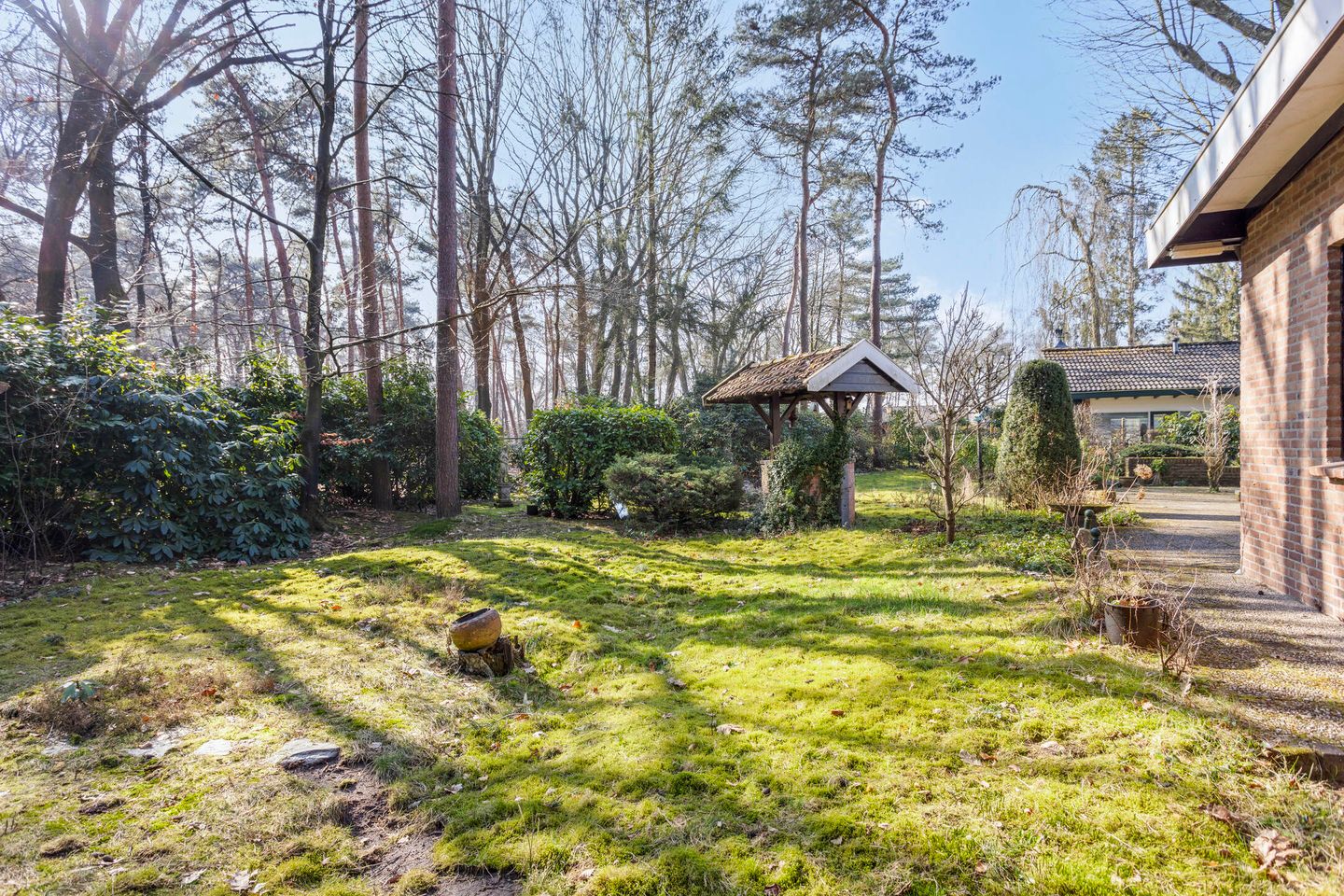 Foto 25 van Schaluinen 11-B438