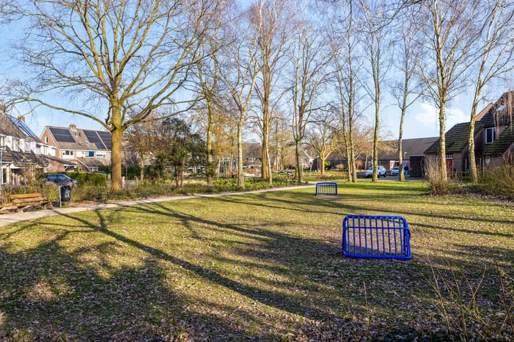 Foto 3 van Boskrekel 16