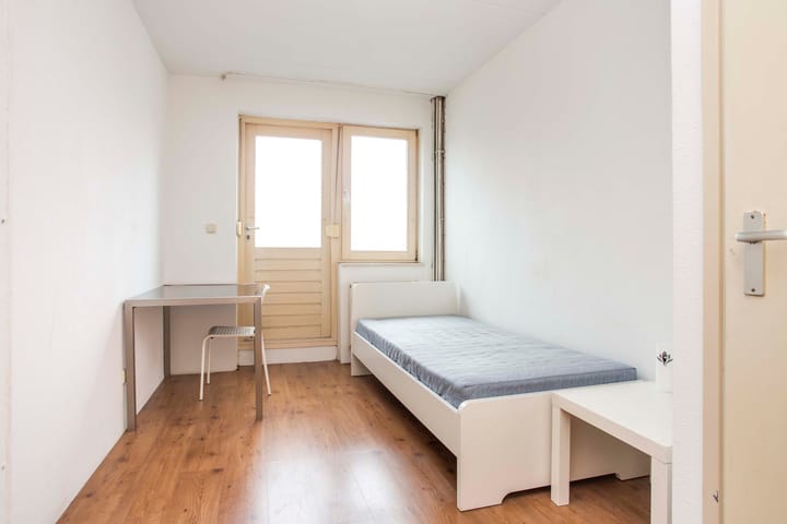 Foto 21 van Lage Bothofstraat 324