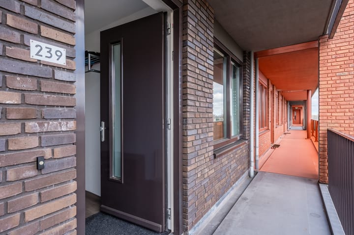 Foto 9 van Vurehout 239