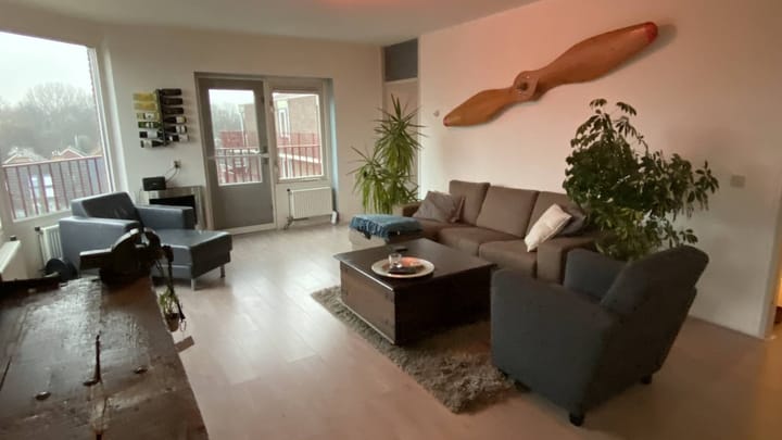 Foto 2 van Pluimgras 16