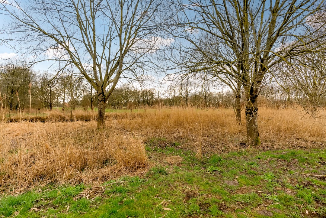 Foto 73 van Fibonaccilaan 49