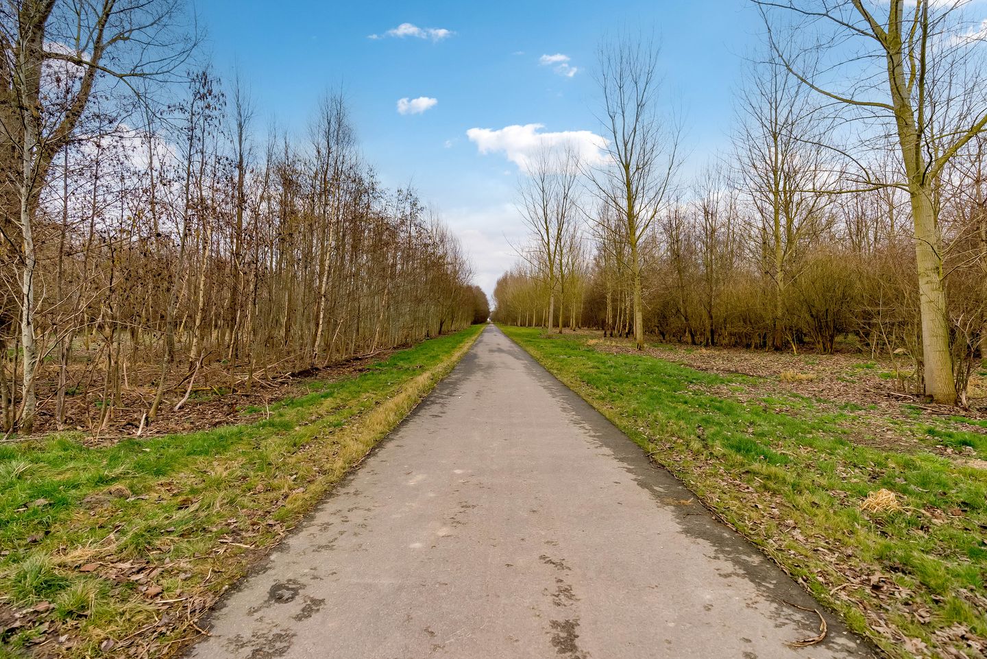 Foto 74 van Fibonaccilaan 49