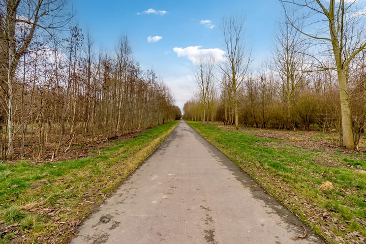 Foto 74 van Fibonaccilaan 49