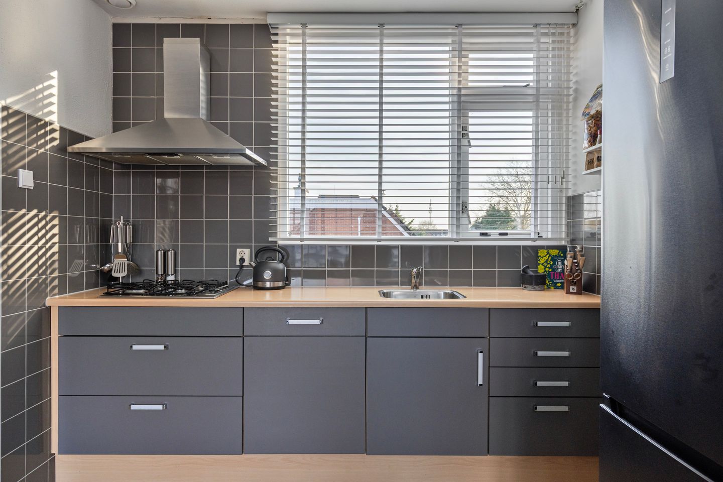 Foto 10 van Snoekenveen 913