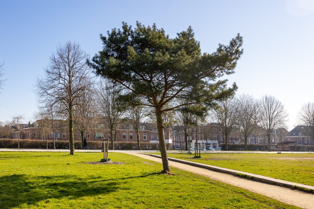 Foto 52 van Zandhofsestraat 40