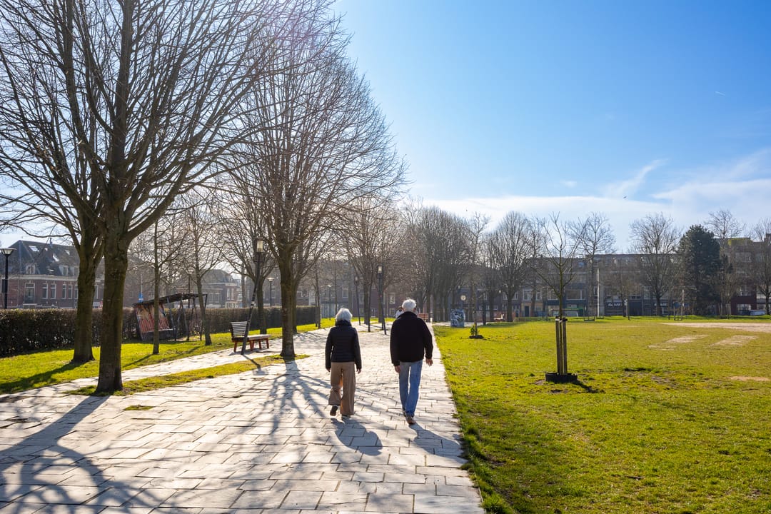 Foto 53 van Zandhofsestraat 40