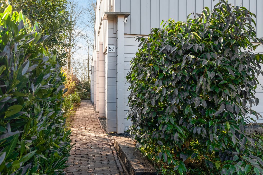 Foto 7 van De Reiger 57