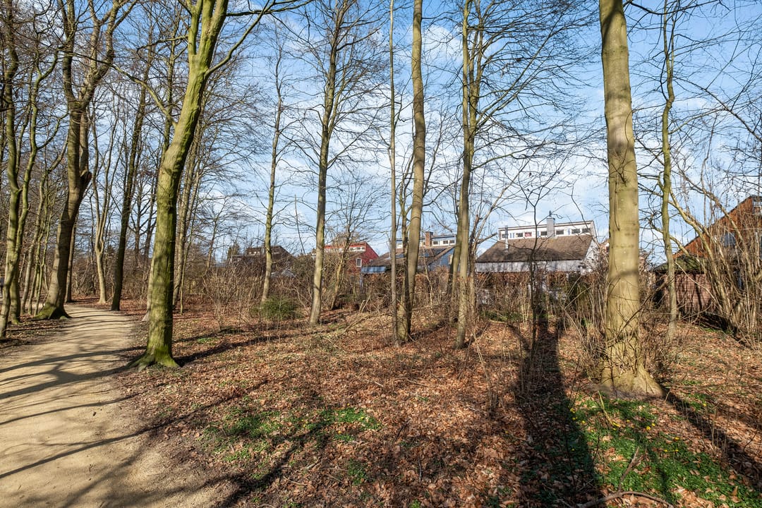 Foto 31 van De Reiger 57