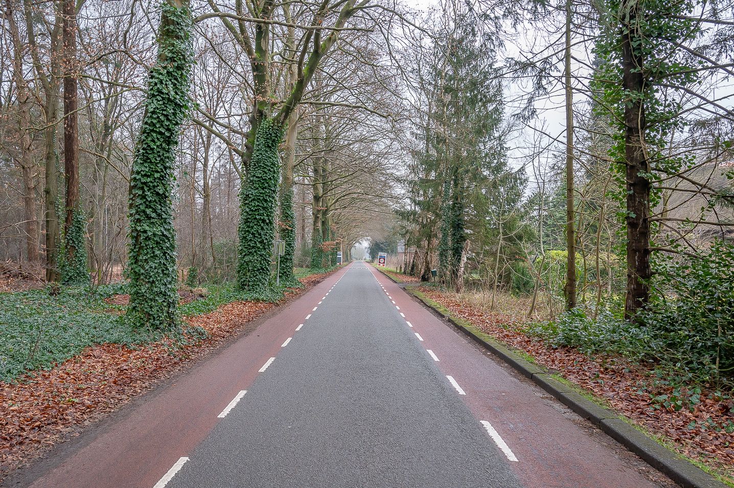 Photo 44 of Wolfersveenweg 11