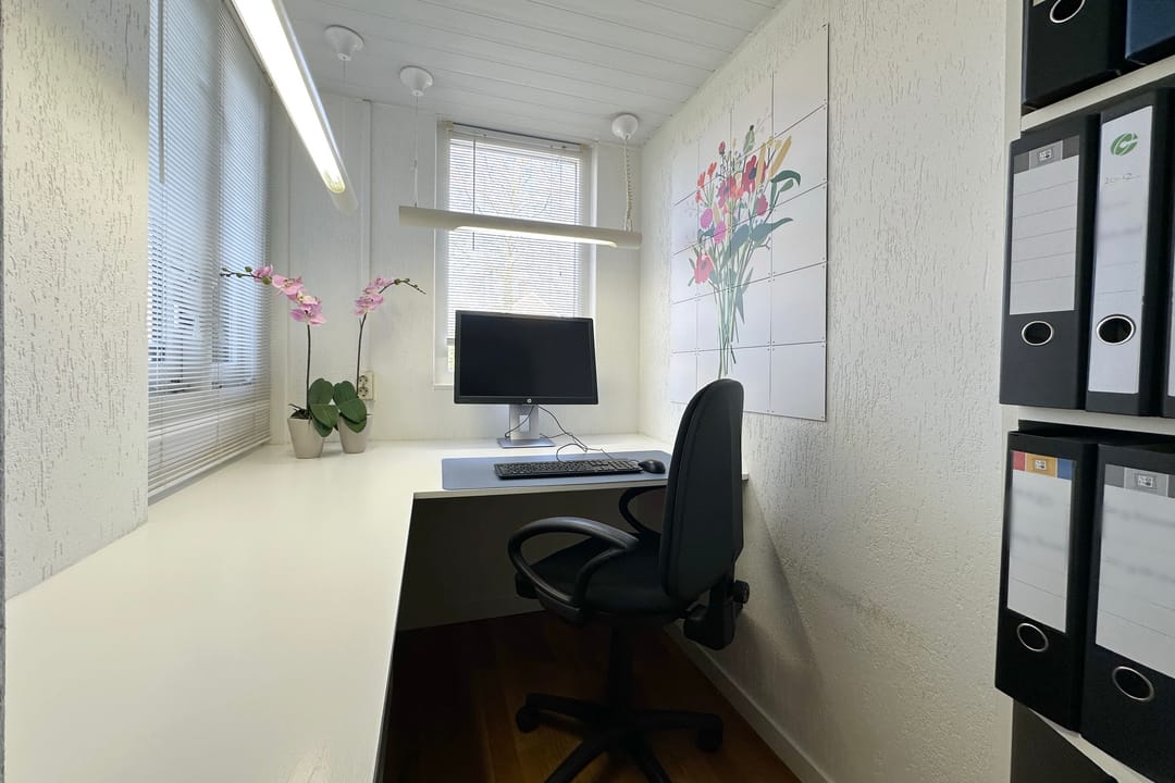 Foto 7 van Zuidplaslaan 50