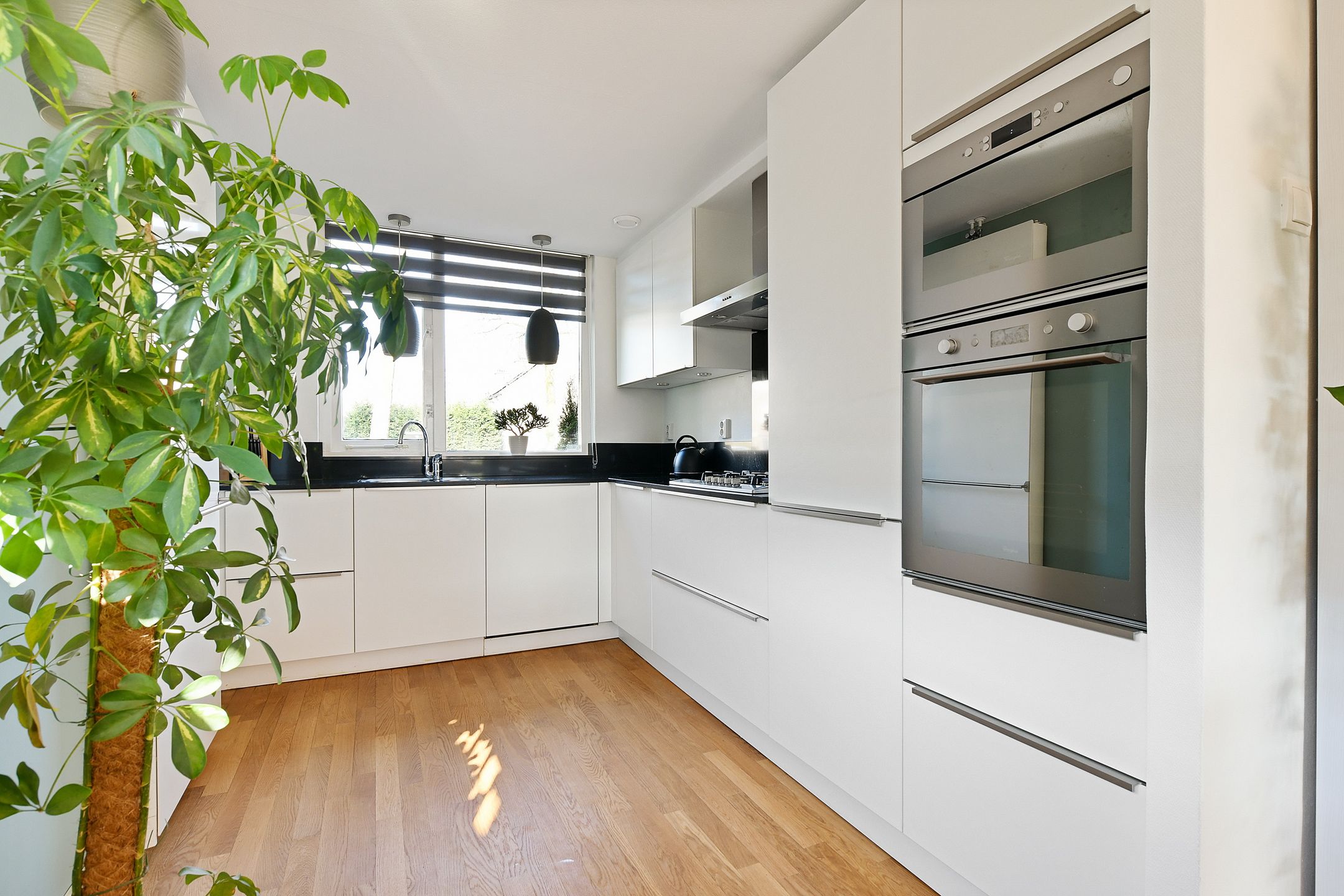 Foto 9 van Zuidplaslaan 50