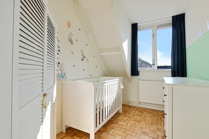 Foto 18 van Zuidplaslaan 50