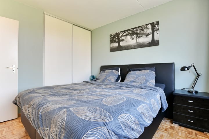 Foto 20 van Zuidplaslaan 50