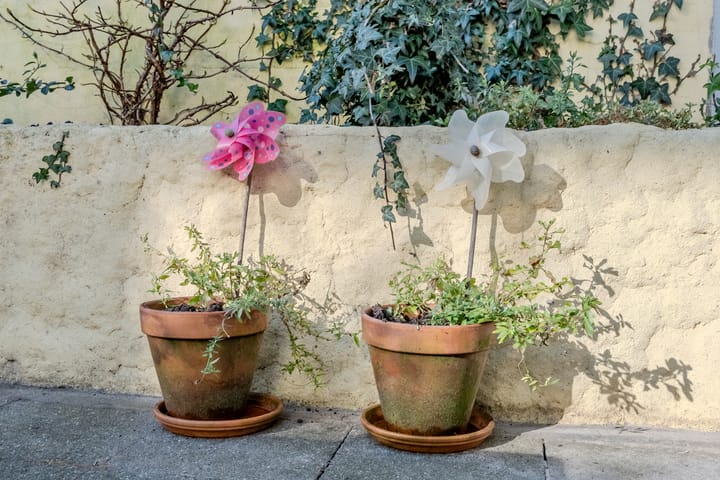 Foto 50 van Paterstraat 79