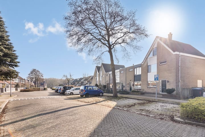 Foto 7 van Mantelschelp 10