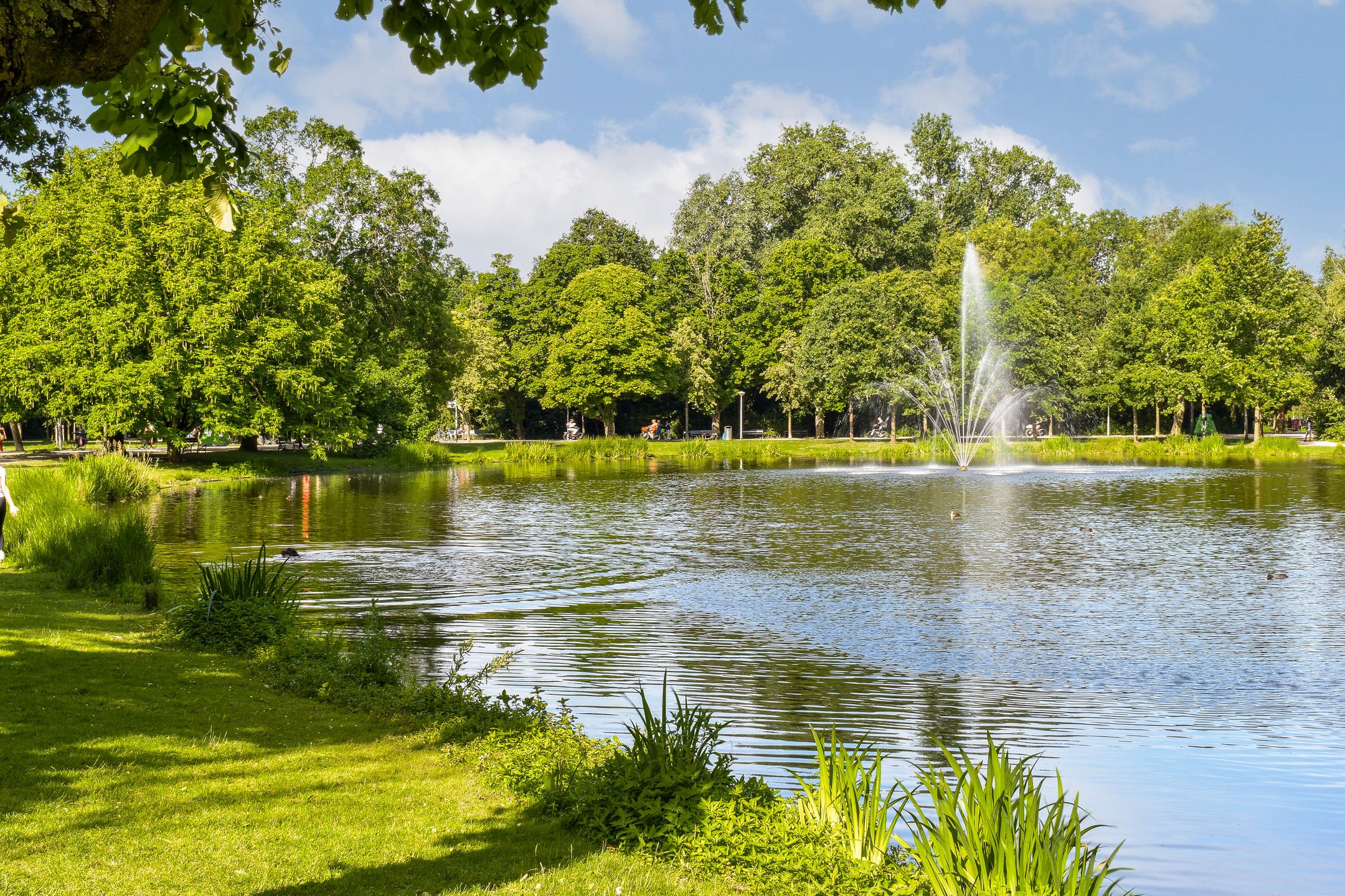 Foto 42 van Kanaalstraat 46-3