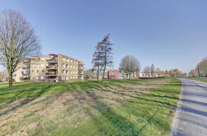 Foto 5 van Het Spectrum 66