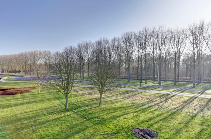 Foto 33 van Het Spectrum 66