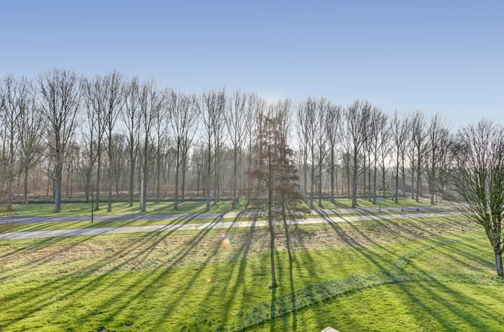 Foto 34 van Het Spectrum 66