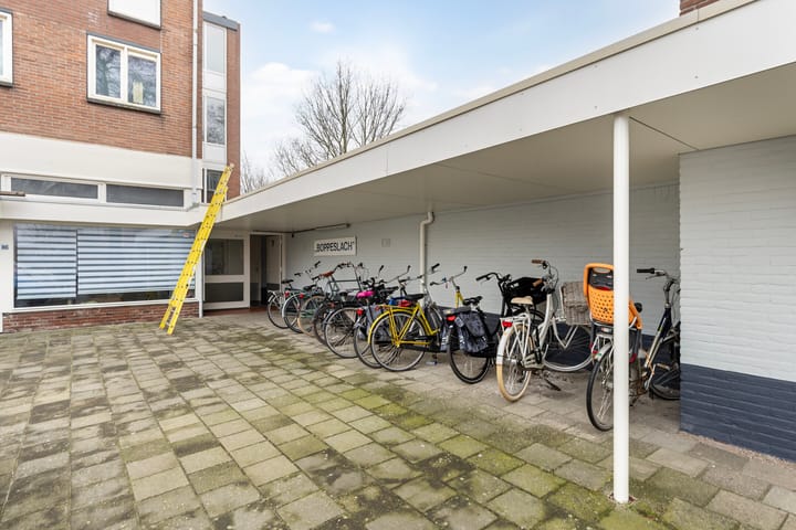 Foto 26 van Kaatsland 70