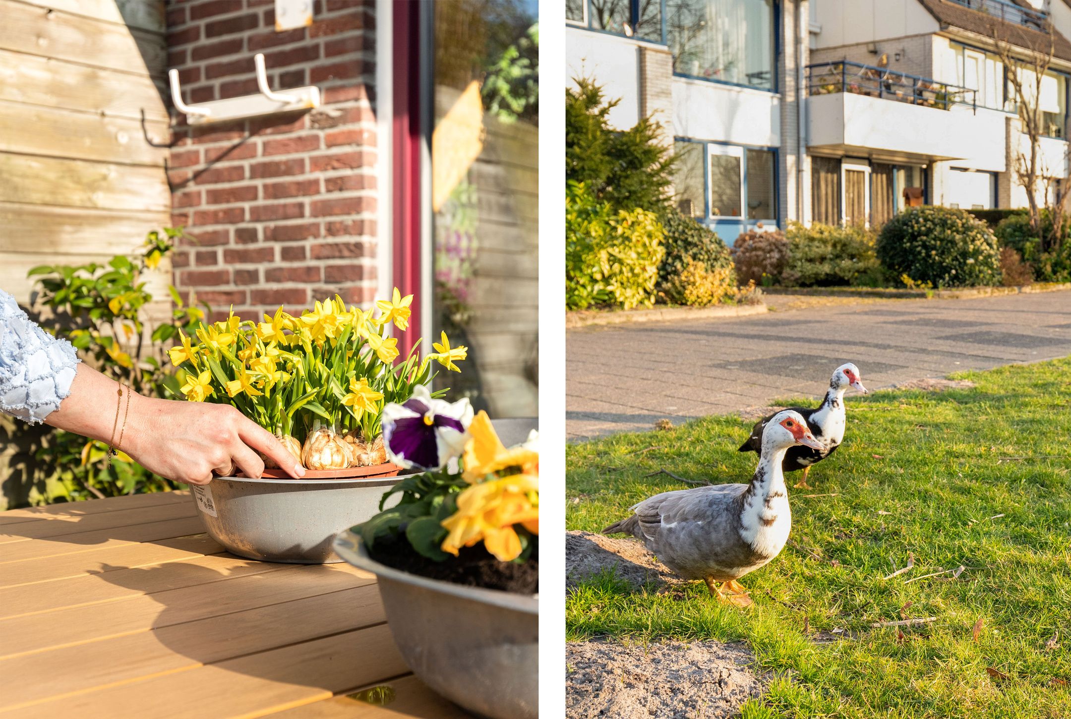 Foto 27 van De Sonneveld 3