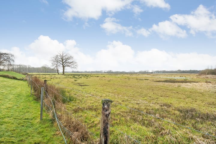 Foto 80 van Orionlaan 37