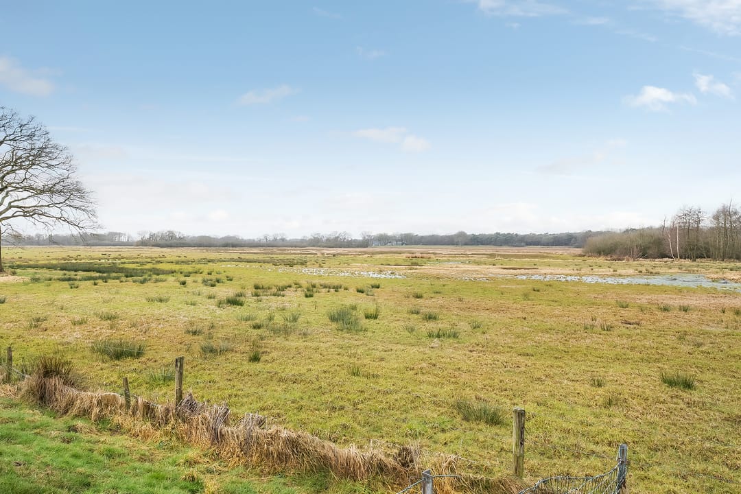 Foto 83 van Orionlaan 37