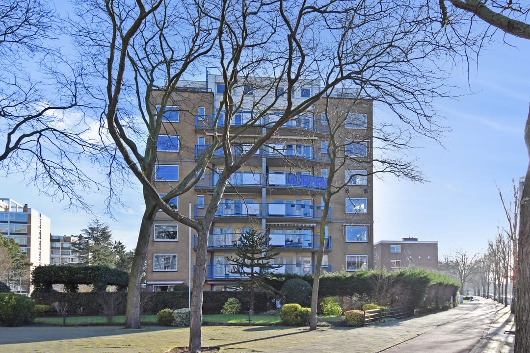 Foto 1 van Louis Davidsstraat 220