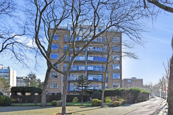 Foto 1 van Louis Davidsstraat 220