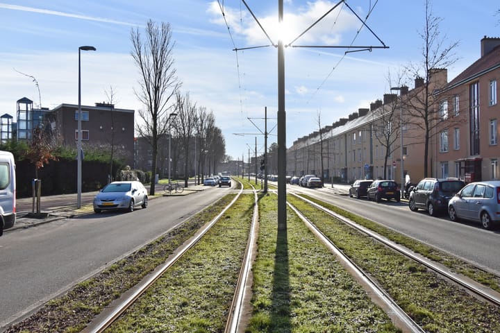 Foto 40 van Louis Davidsstraat 220