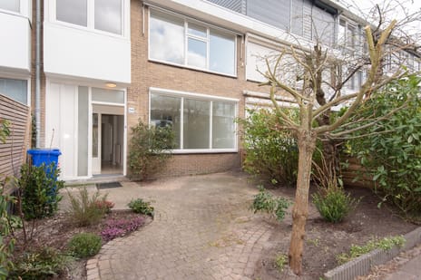 undefined main image