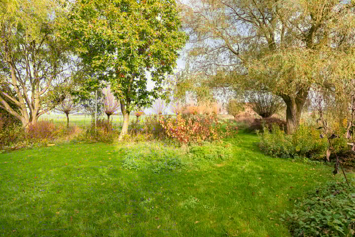 Foto 42 van De Kat 5