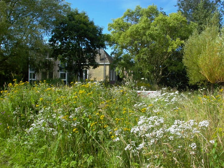 Foto 43 van De Kat 5