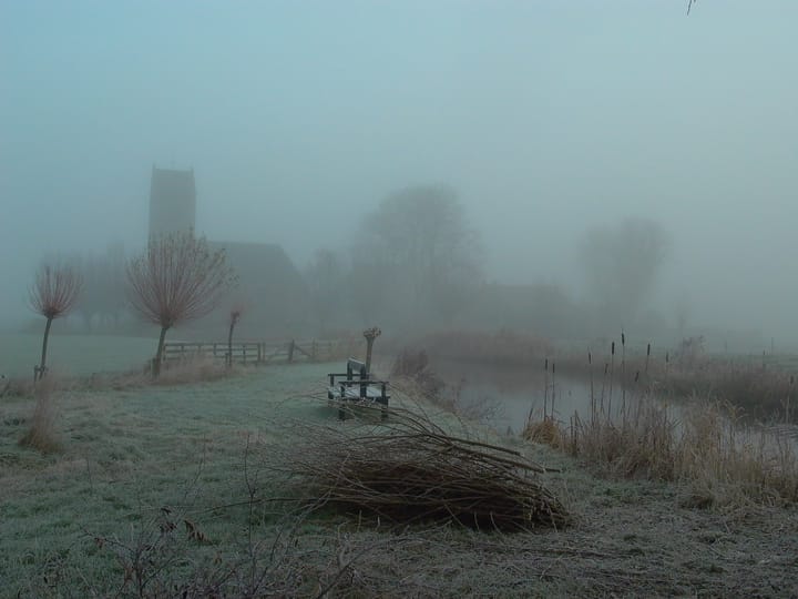 Foto 48 van De Kat 5