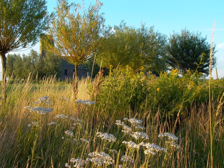 Foto 52 van De Kat 5