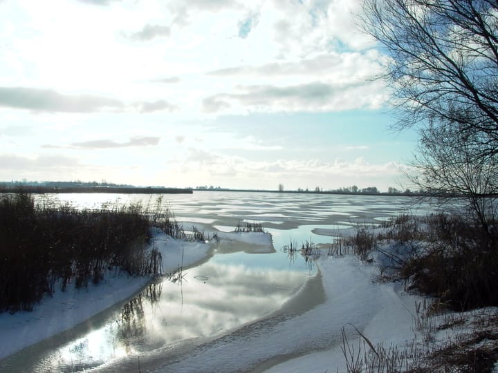 Foto 53 van De Kat 5