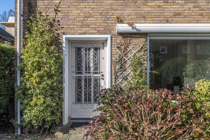 Foto 3 van Carel Fabritiuslaan 3