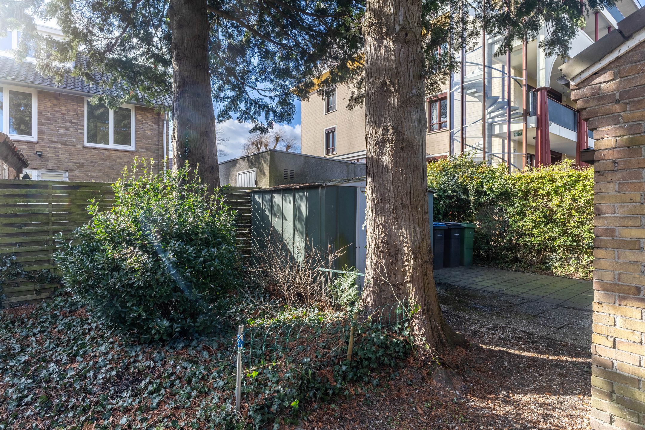 Foto 15 van Carel Fabritiuslaan 3