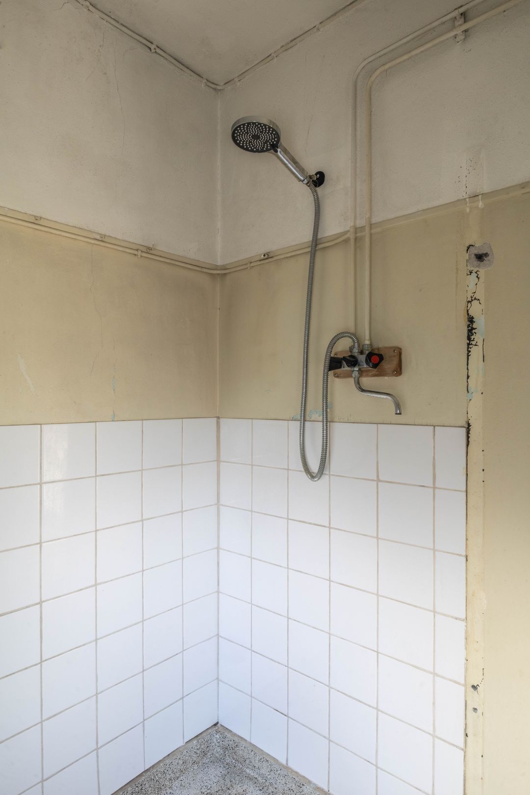 Foto 26 van Carel Fabritiuslaan 3