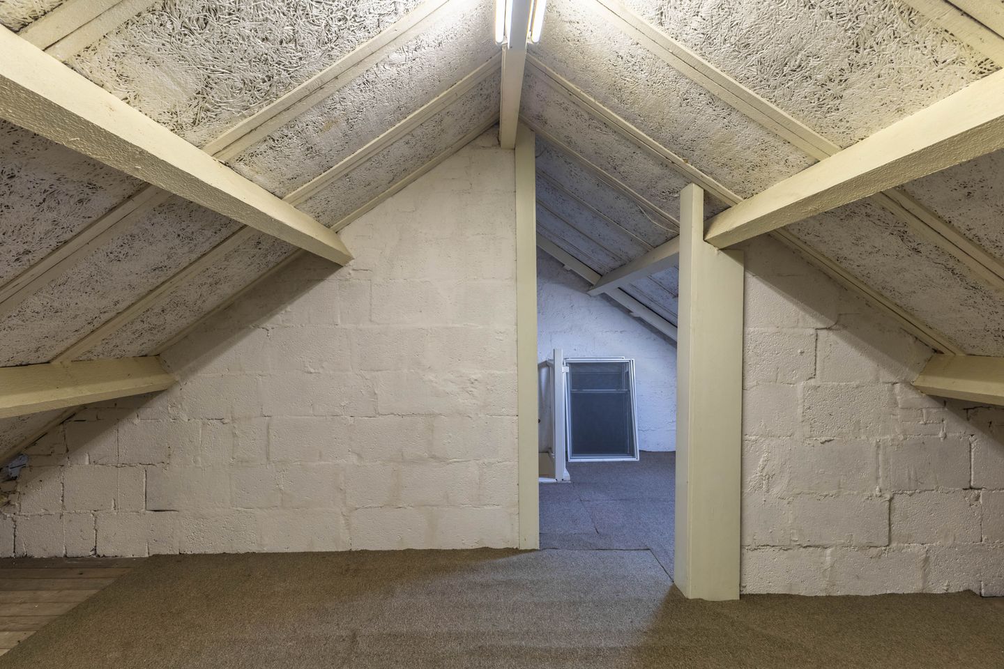 Foto 29 van Carel Fabritiuslaan 3