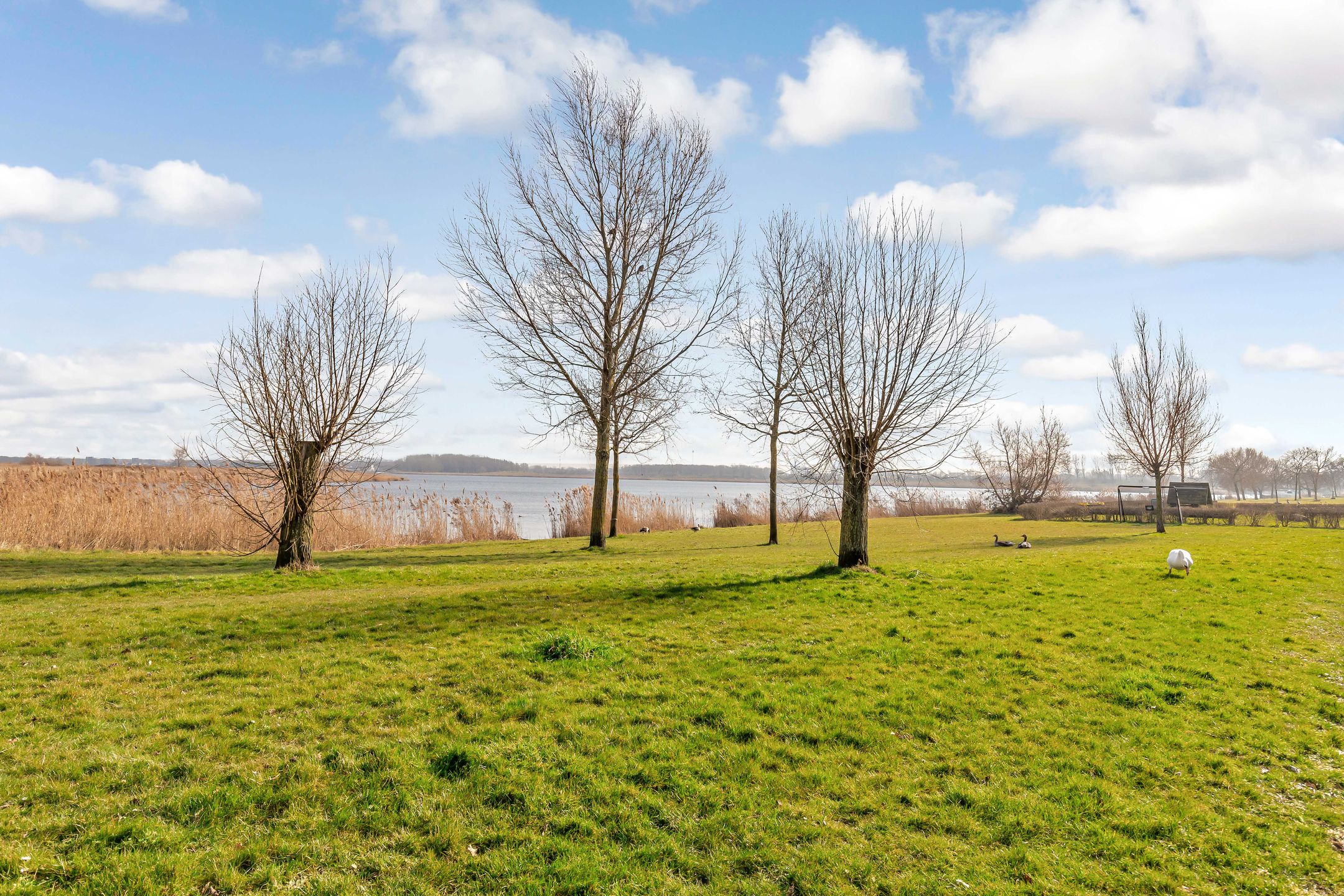 Foto 45 van Helmstok 23