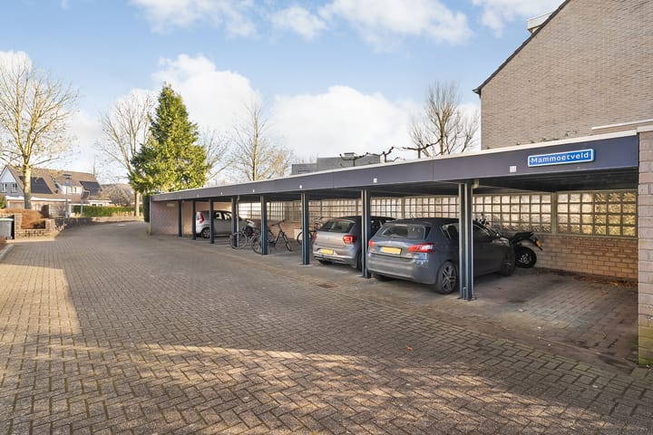 Foto 3 van Mammoetveld 34